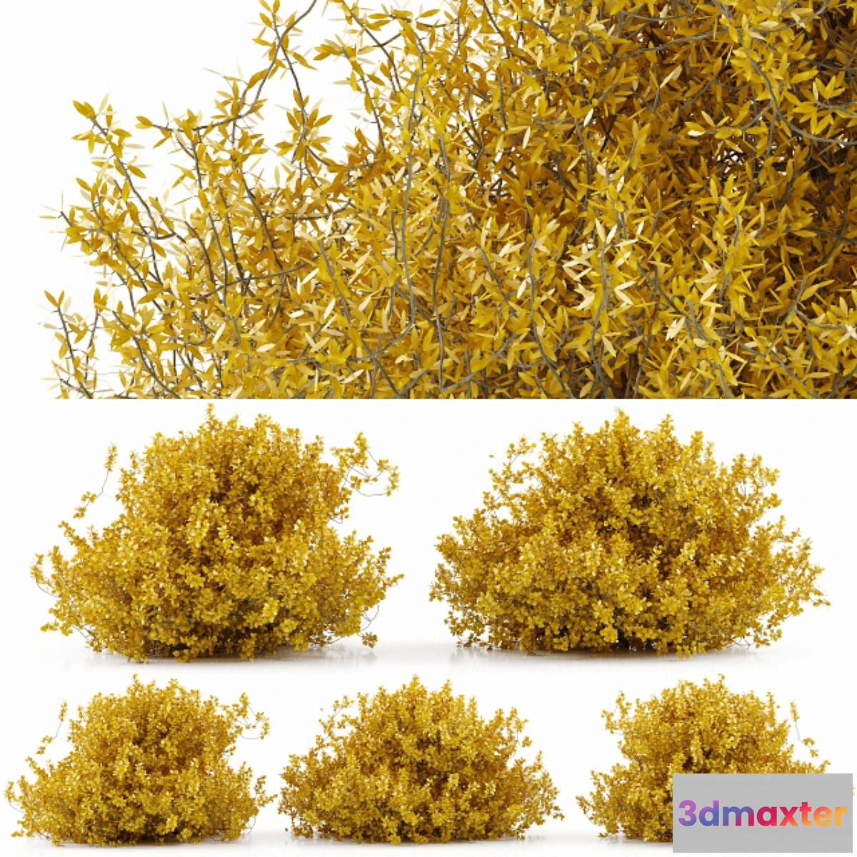 846507 - plant 28 - No.2