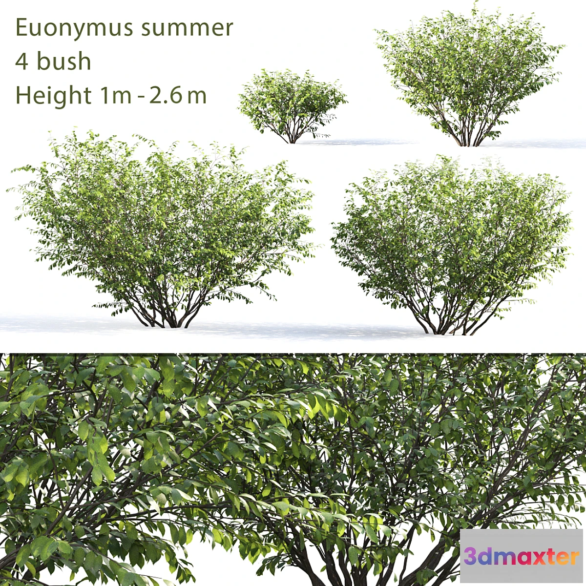 846539 - Berezkin # 5 (Summer)