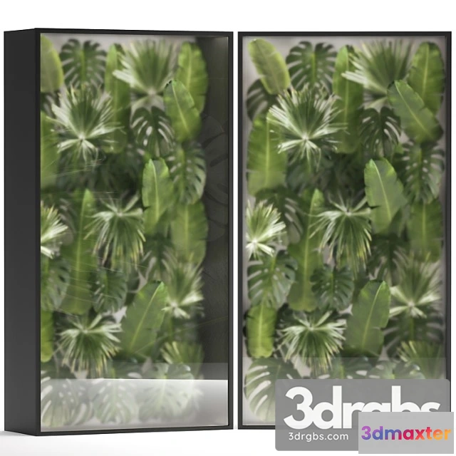 1010274 - Banana Palm Branches And Fan Palm Leaves In A Niche Behind A Translucent Stack 70