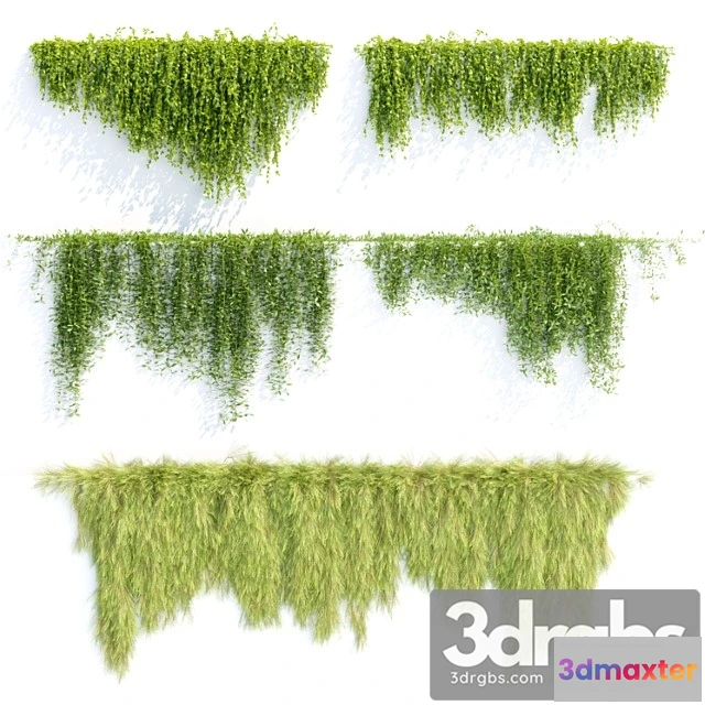 1010290 - Creeper Plants For Wall Collection Vol 144