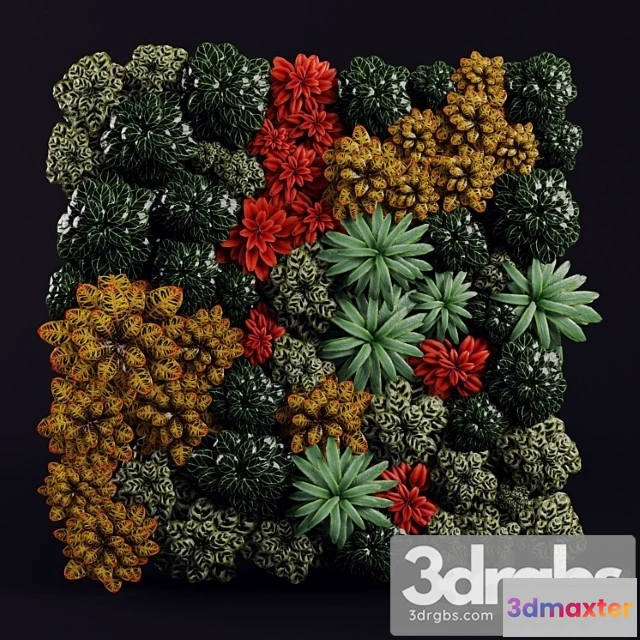 1010300 - Fitostiena 2