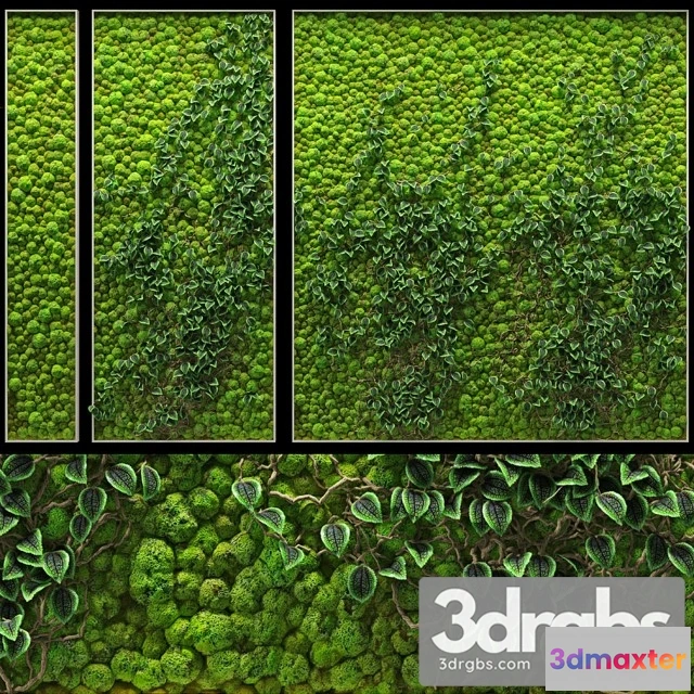 1010302 - Fitowall Vertical Landscaping