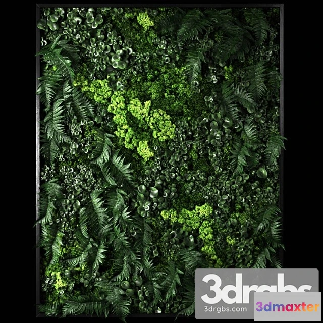 1010310 - Fytowall 2 3