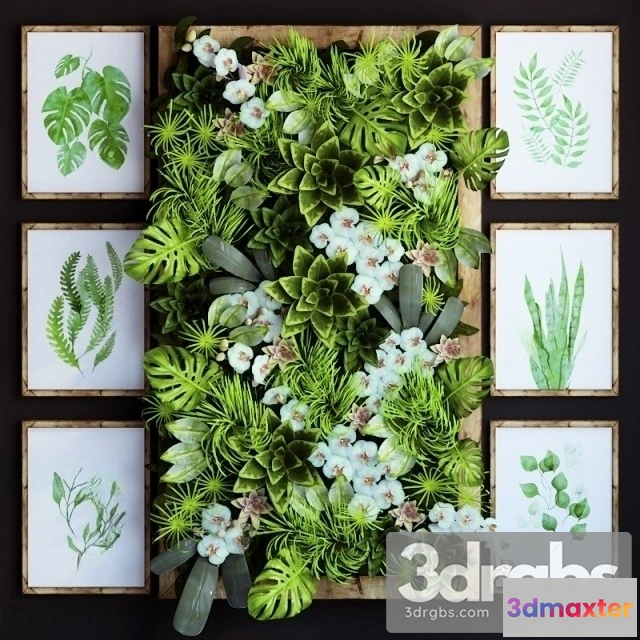 1010322 - Green Plant Wall