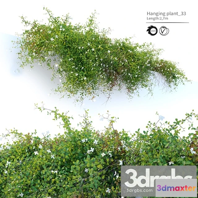 1010328 - Hanging Plant 33