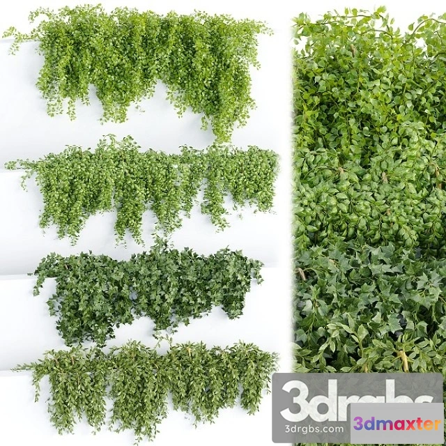 1010332 - Hanging Wall Plants Collection Vol 64