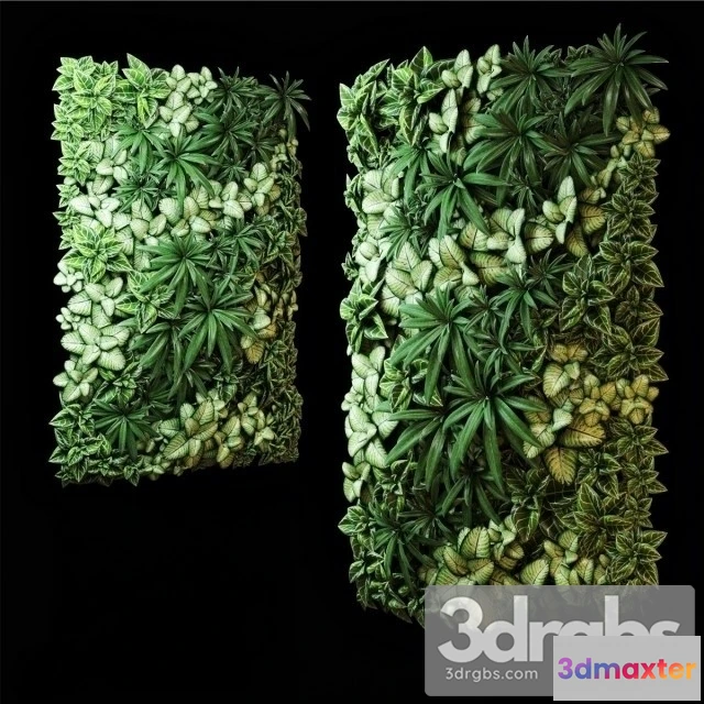 1010360 - Living Plant wall