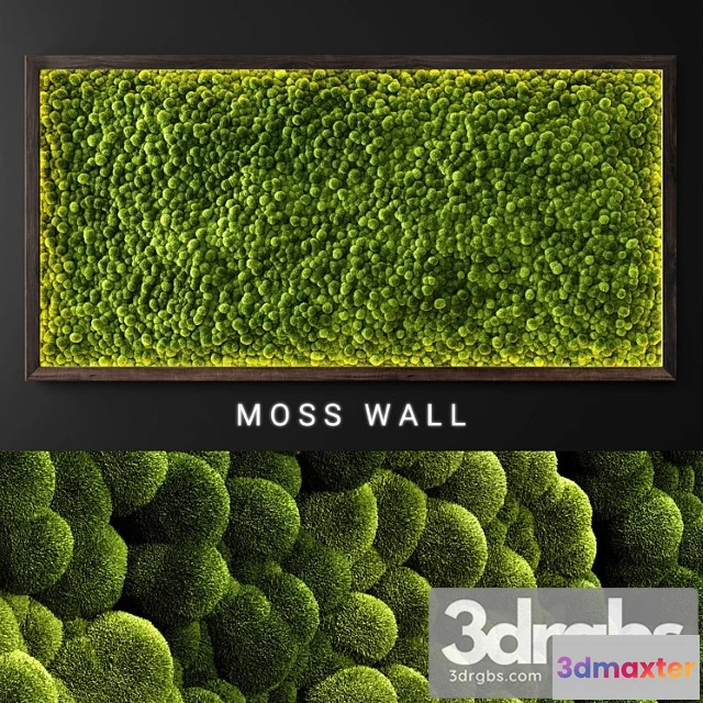 1010366 - Moss Wall 21
