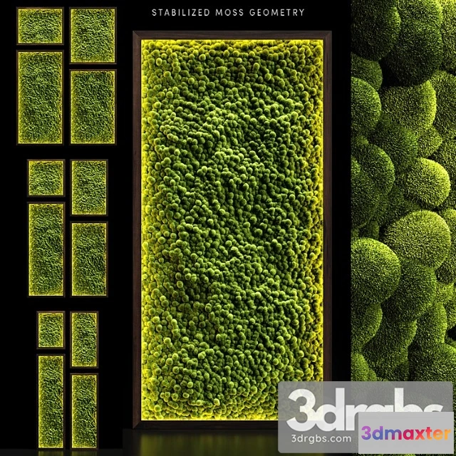 1010368 - Moss Walls 22