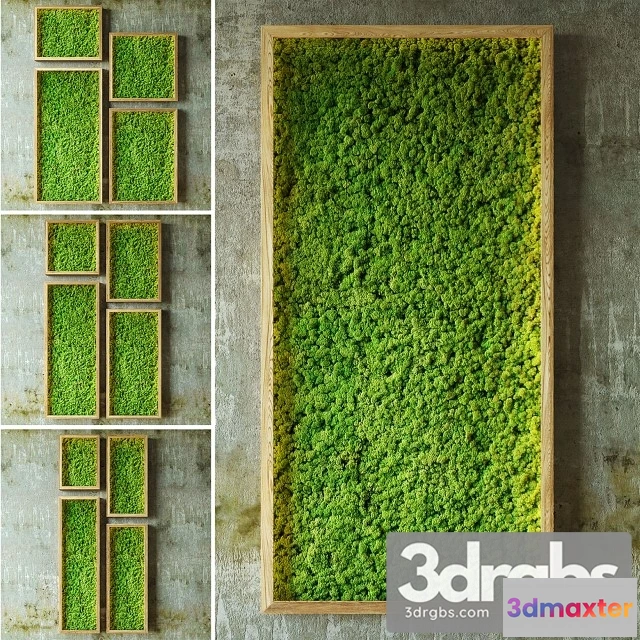 1010370 - Moss Walls