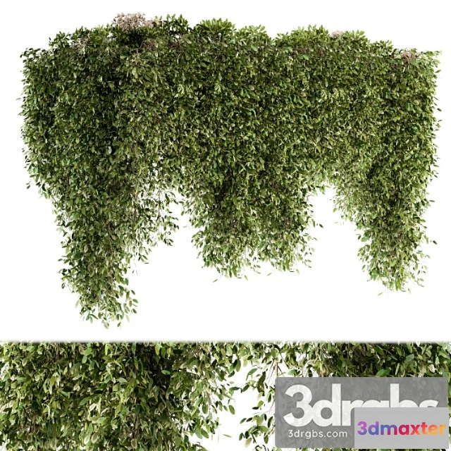 1010378 - Outdoor Plant Set 96 Hanging Plants