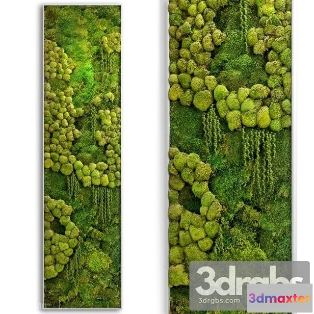 1010388 - Panel Jungle