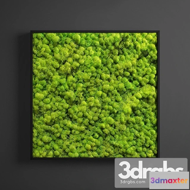 1010390 - Panel Moss Square