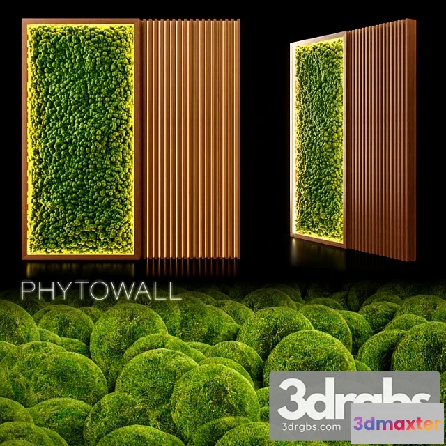1010406 - Phytowall