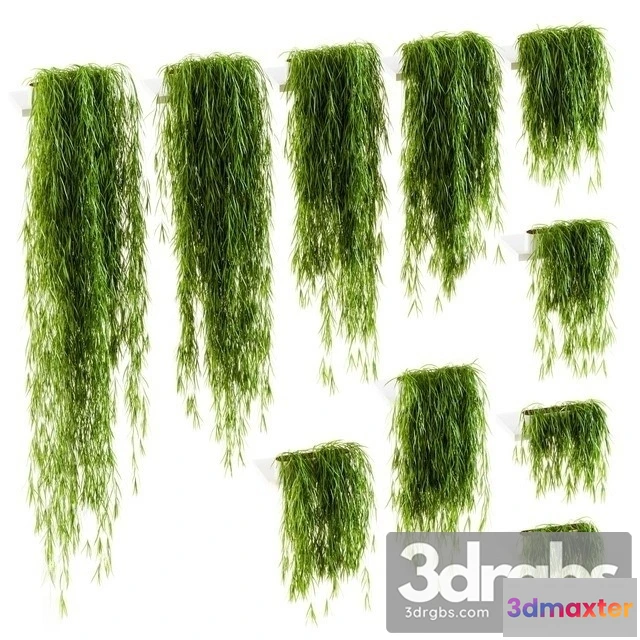 1010410 - Plant Wall Set 2