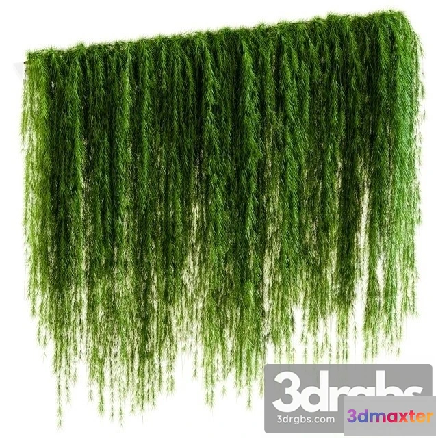 1010412 - Plant Wall