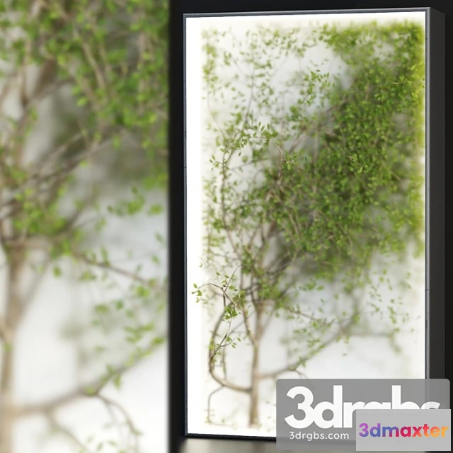 1010420 - Plants In The Light Box Vol 176