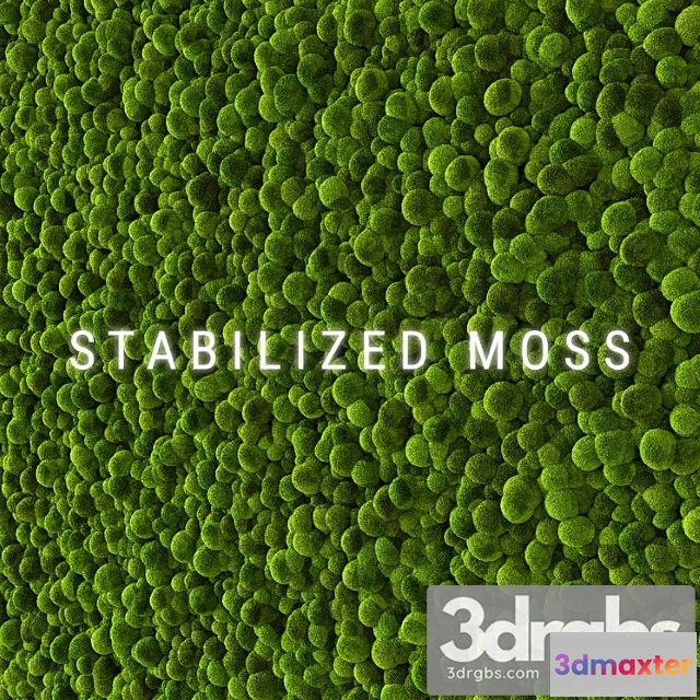 1010430 - Stabilized Moss 2