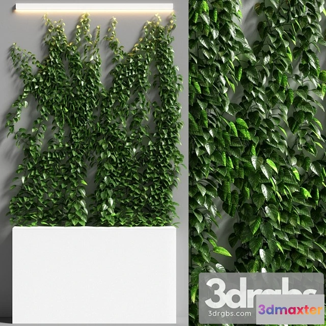 1010456 - Vertical Garden 08