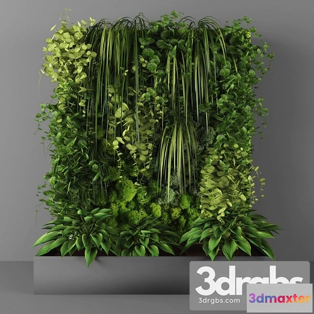 1010458 - Vertical Garden 096