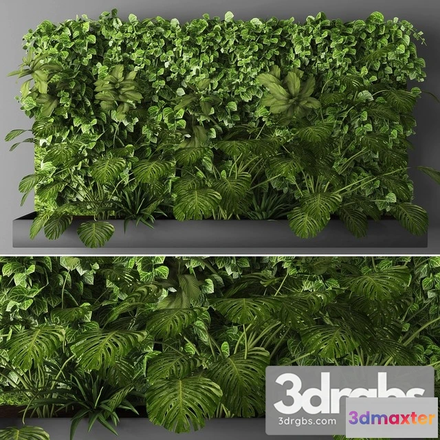 1010460 - Vertical Garden 1