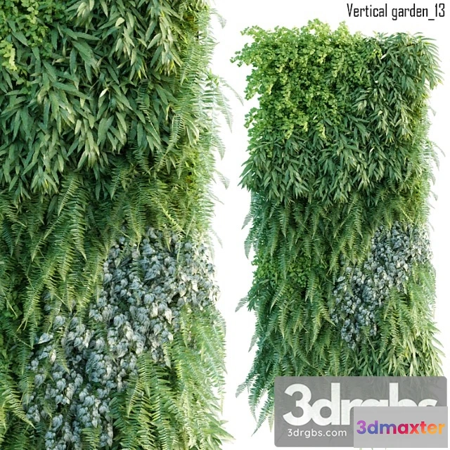 1010462 - Vertical Garden 13