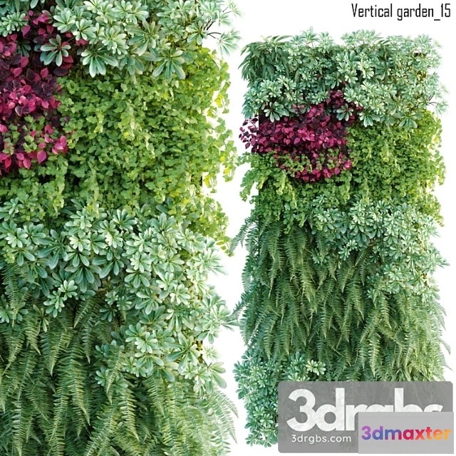 1010466 - Vertical Garden 15