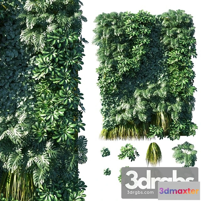 1010478 - Vertical Garden Green Wall 02