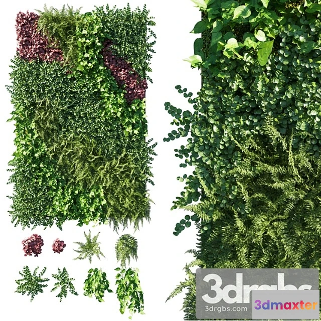 1010482 - Vertical Garden Green Wall 09