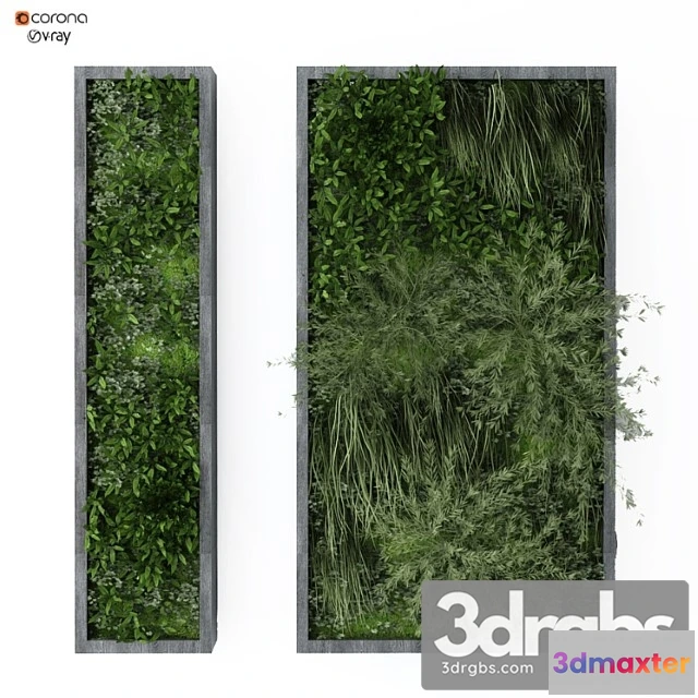 1010510 - Vertical Plant 162