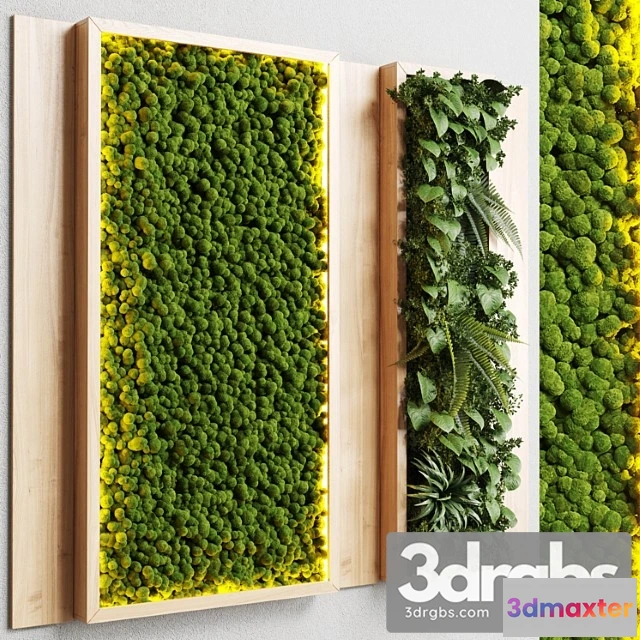 1010518 - Wall Garden And Vertical Moss In Wooden Frame 22 1