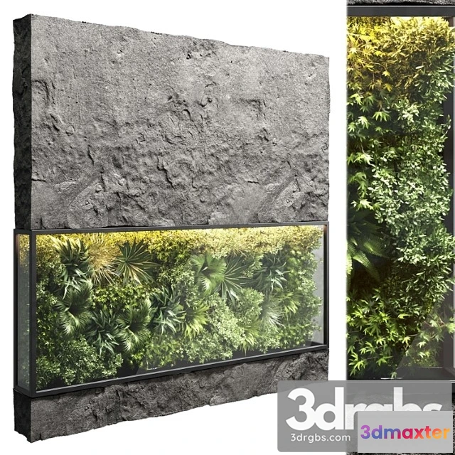1060492 - Collection outdoor plant stand rock vertical garden wall glass bax vase 12 corona