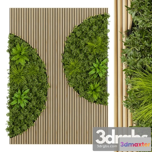 1060496 - Collection plant vol 331 - fitowall - leaf