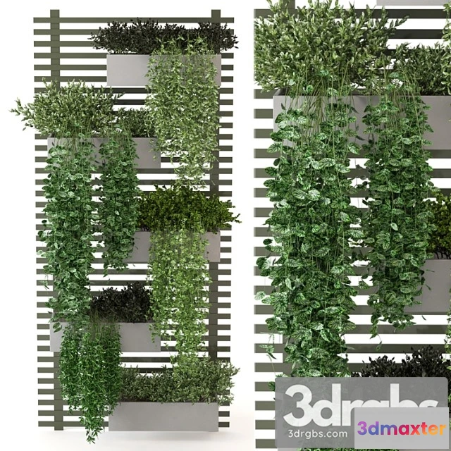 1060548 - Indoor plants collection - set 393