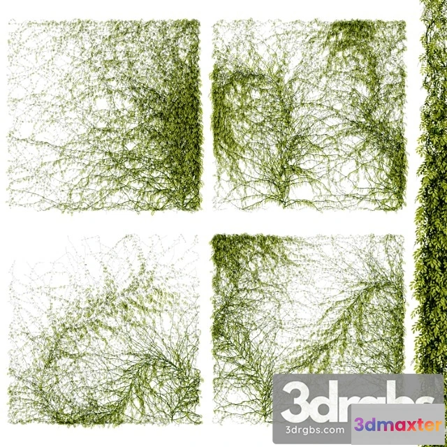 1060566 - Leaves for walls v4