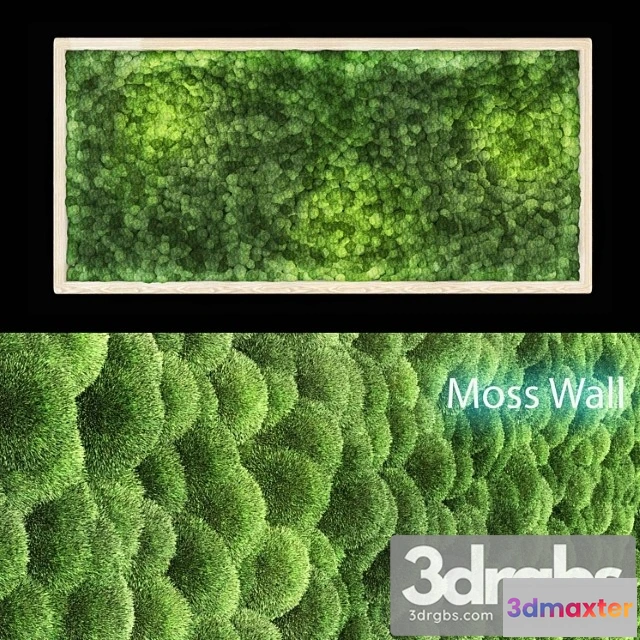 1060570 - Moss wall