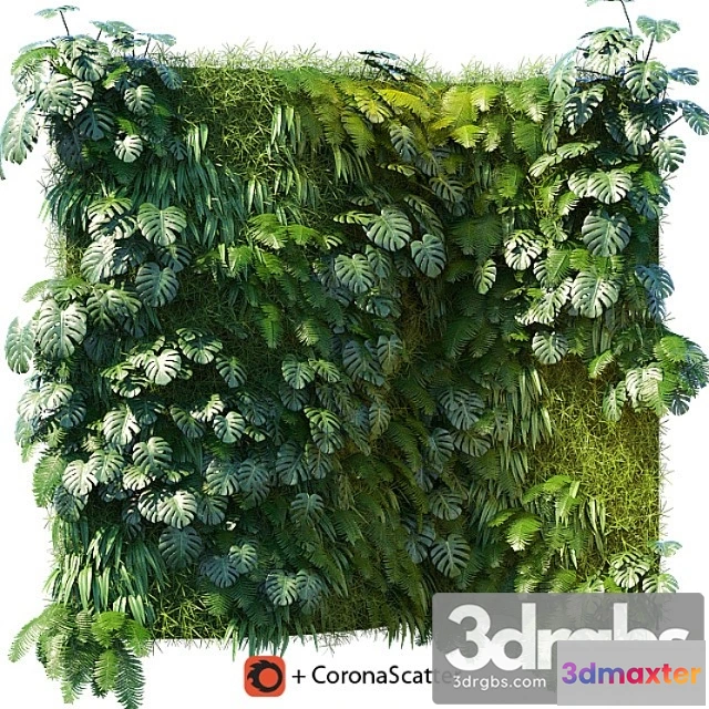 1060590 - Phytowall 1