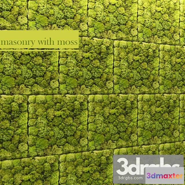 1060616 - Stone and moss