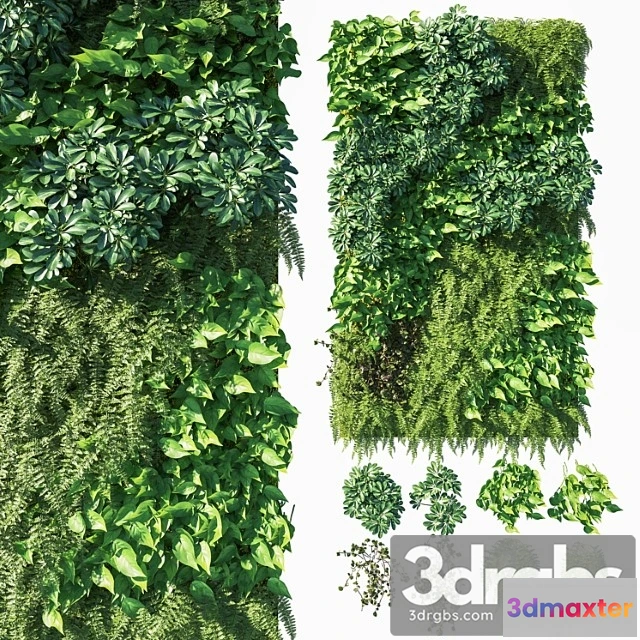 1060624 - Vertical garden  green wall 03