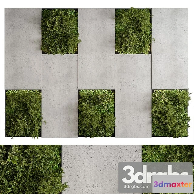 1060626 - Vertical garden - green wall 77