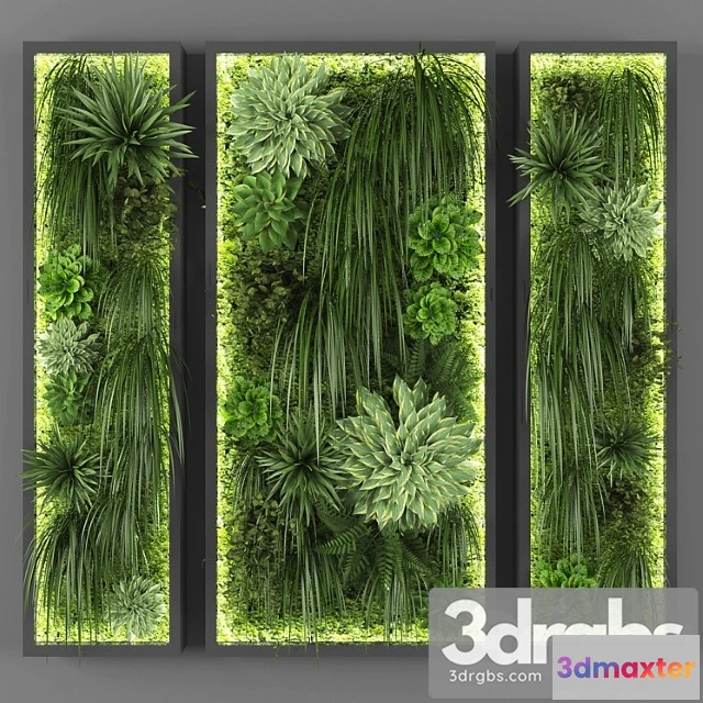 1060638 - Vertical garden 046