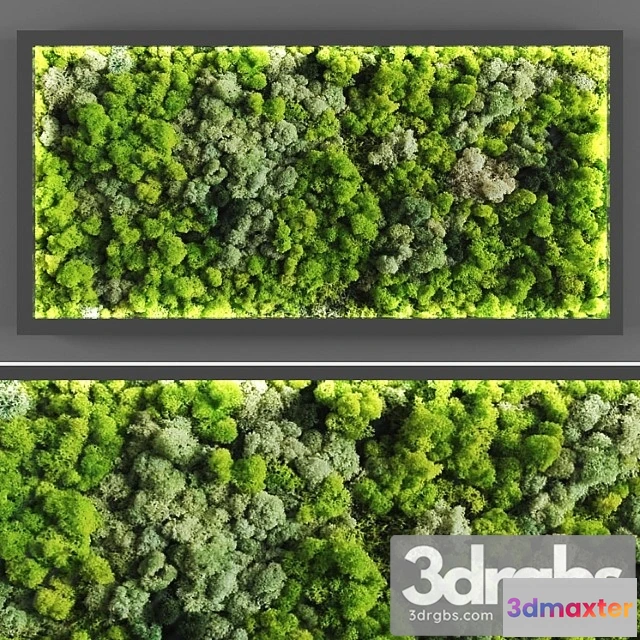 1060640 - Vertical garden 059