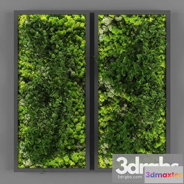 1060644 - Vertical garden 062 - No.2