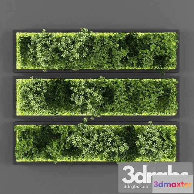 1060648 - Vertical garden 074