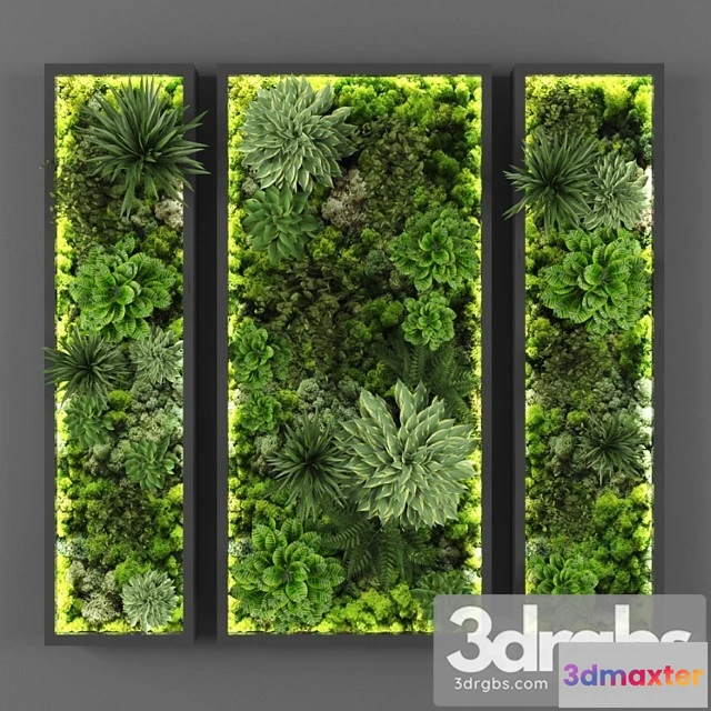 1060650 - Vertical garden 108