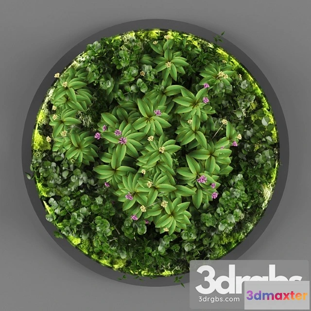 1060652 - Vertical garden 113