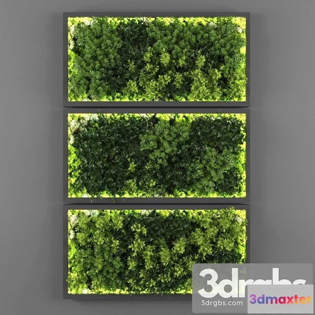 1060656 - Vertical garden 131