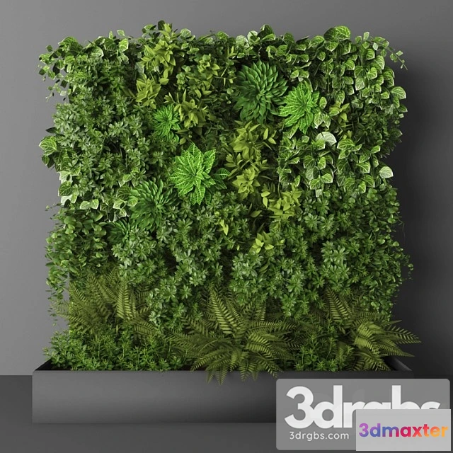 1060660 - Vertical garden 144