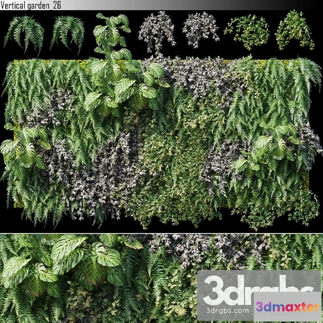 1060676 - Vertical garden 26