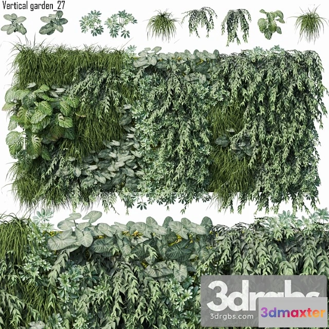 1060678 - Vertical garden 27